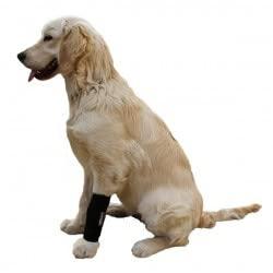 Ortocanis Ortocanis - Carpal Support for Dogs with Arthrosis, Ligament Injuries or Unstable Carpus, Size XL