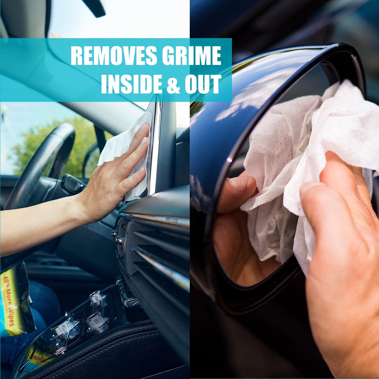 Satya Naturals Giloy Forte Capsules 500 mg. 60 Veg. Capsule | Guduchi (Tinospora Cordifolia) Extract Capsules for Men and women | Indian Ayurvedic Herbal Supplement/Remedies (2 Bottles of 60 Capsules)