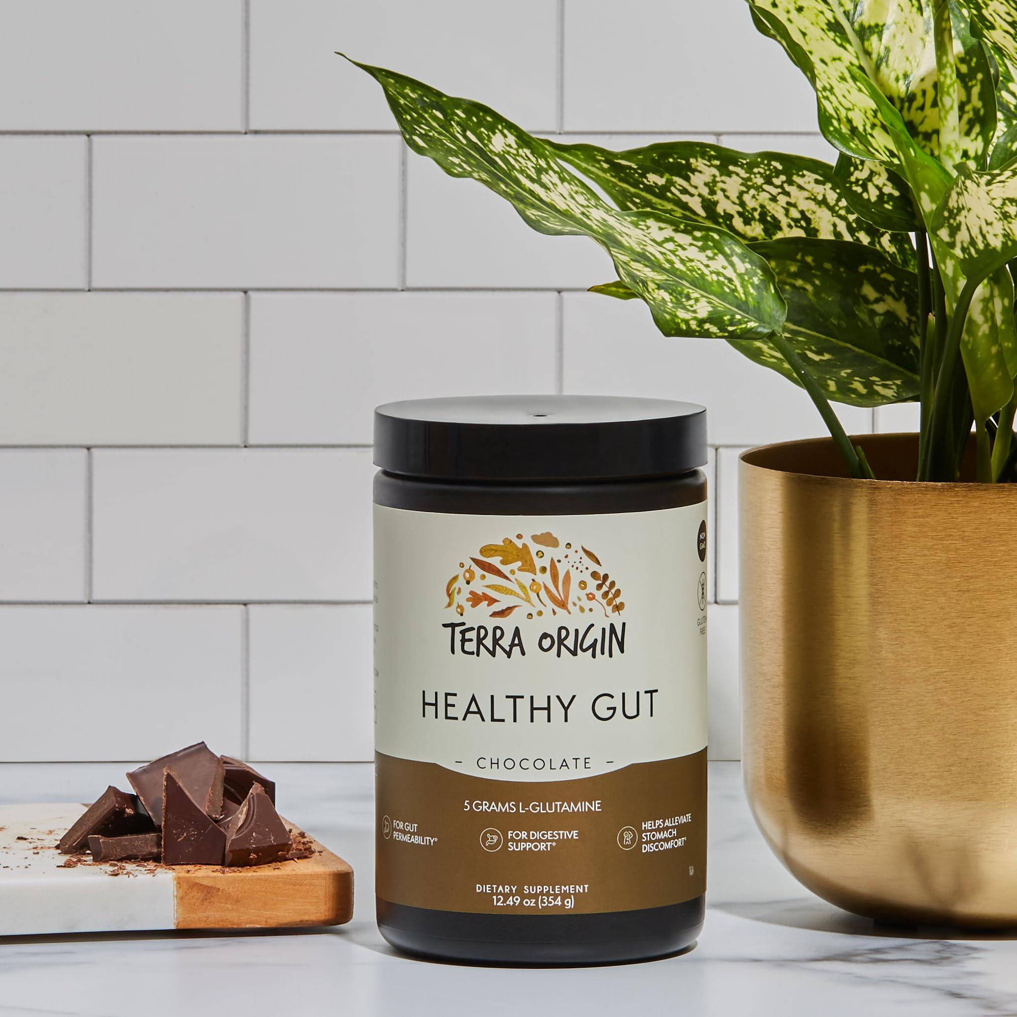 TERRA ORIGIN TERRA ORIGIN Healthy Gut Chocolate | 30-Servings with L-Glutamine, Zinc, Glucosamine, Slippery Elm Bark, Marshmallow Root and More!