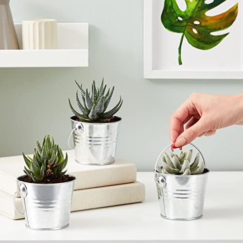 Juvale 10 Pack Small Metal Buckets for Party Favors, Tiny Galvanized Silver Pails for Crafts, Succulents (3.3 x 2.5 x 3 in)