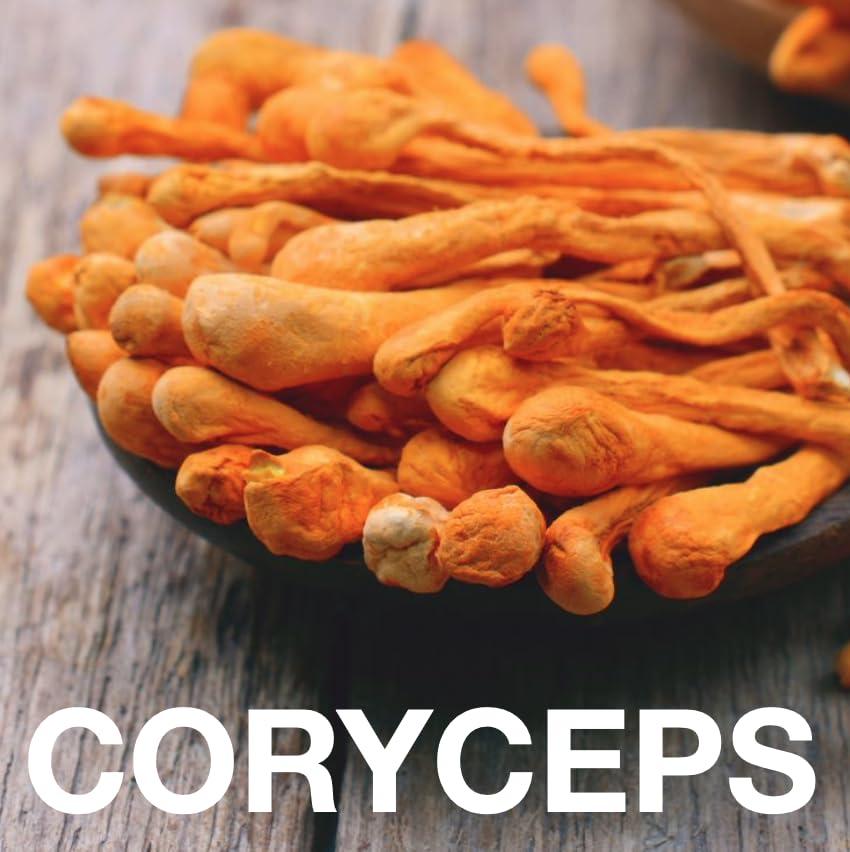 EAT GOLD ORGANICS IMMUNE SHROOM : THE ONE FOR A BOOST : a potent, delicious, functional chocolate bar formulated with premium, organic cacao, powerful adaptogens & mushrooms to support boosting your immunity