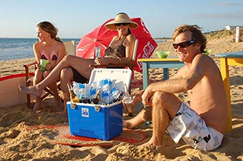 Techni Ice Techni Ice Standard 2 Ply Disposable/One to Two-time Use Dry Ice Replacement Sheets (10)