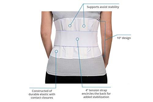 FitPro FitPro FP55007 Adjustable Elastic Back Lumbar Support Brace, Large, Amazon Exclusive Brand, White