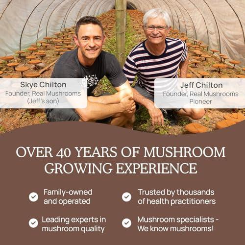 Real Mushrooms Real Mushrooms Organic Hot Chocolate Mix with 5 Defenders Turkey Tail, Chaga, Maitake, Shiitake, Reishi Mushroom - Cacao Powder Vegan Supplement, Gluten-Free, 15 Servings