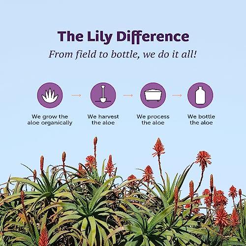 Lily Of The Desert LILY OF THE DESERT Organic Aloe Vera Whole Leaf Preservative Free, 32 FZ