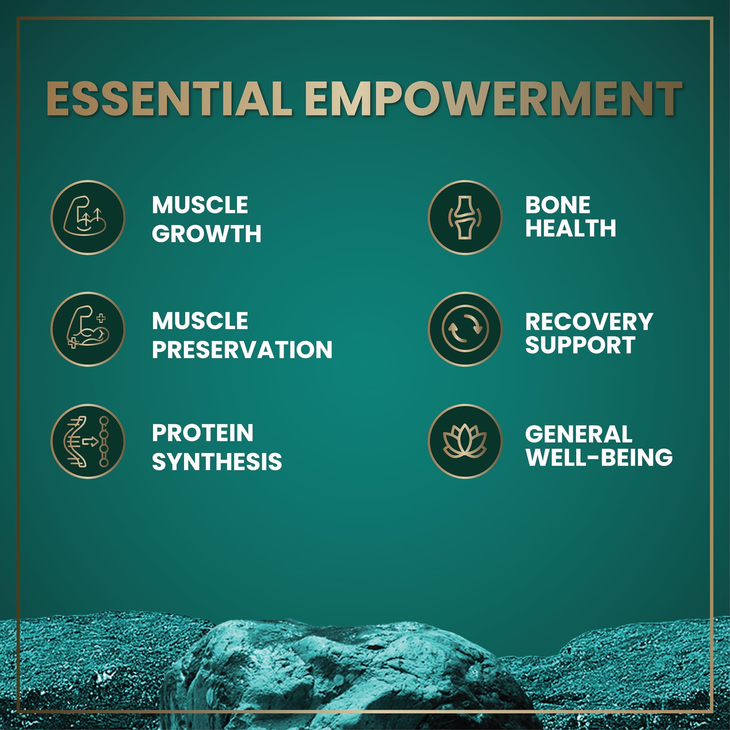 WILD FUEL HMB and Vitamin D3 Supplement Capsules - B-Hydroxy B-Methylbutyrate 1,000 MG HMB Supplements with Vitamin D3 - Muscle Growth, Strength, Performance and After Workout Muscle Recovery - 360 HMB Capsules