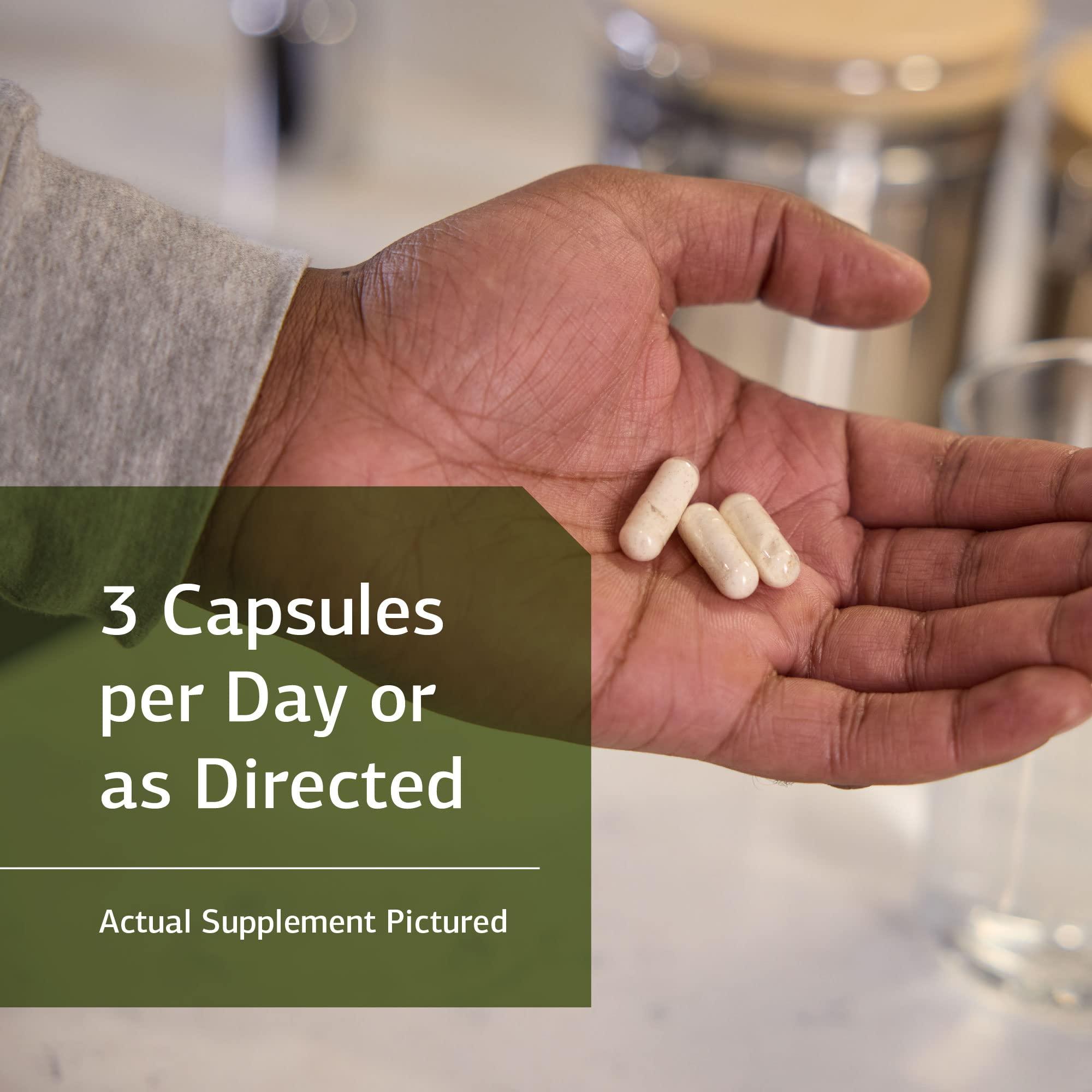 Standard Process Inc. Standard Process ProSynbiotic - Whole Food Bowel, Immune Support, Digestion and Digestive Health with Bifidobacterium, Chicory Root, Lactobacillus Acidophilus, and Inulin - Vegetarian - 90 Capsules