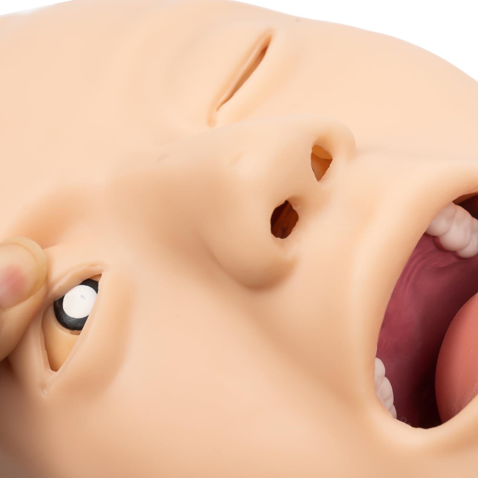 DONSU PVC Adult Intubation Manikin w/Alarm,110V Airway Management Trainer Tracheal IntubationTraining Simulator Teaching Model, Science Lab Education Training