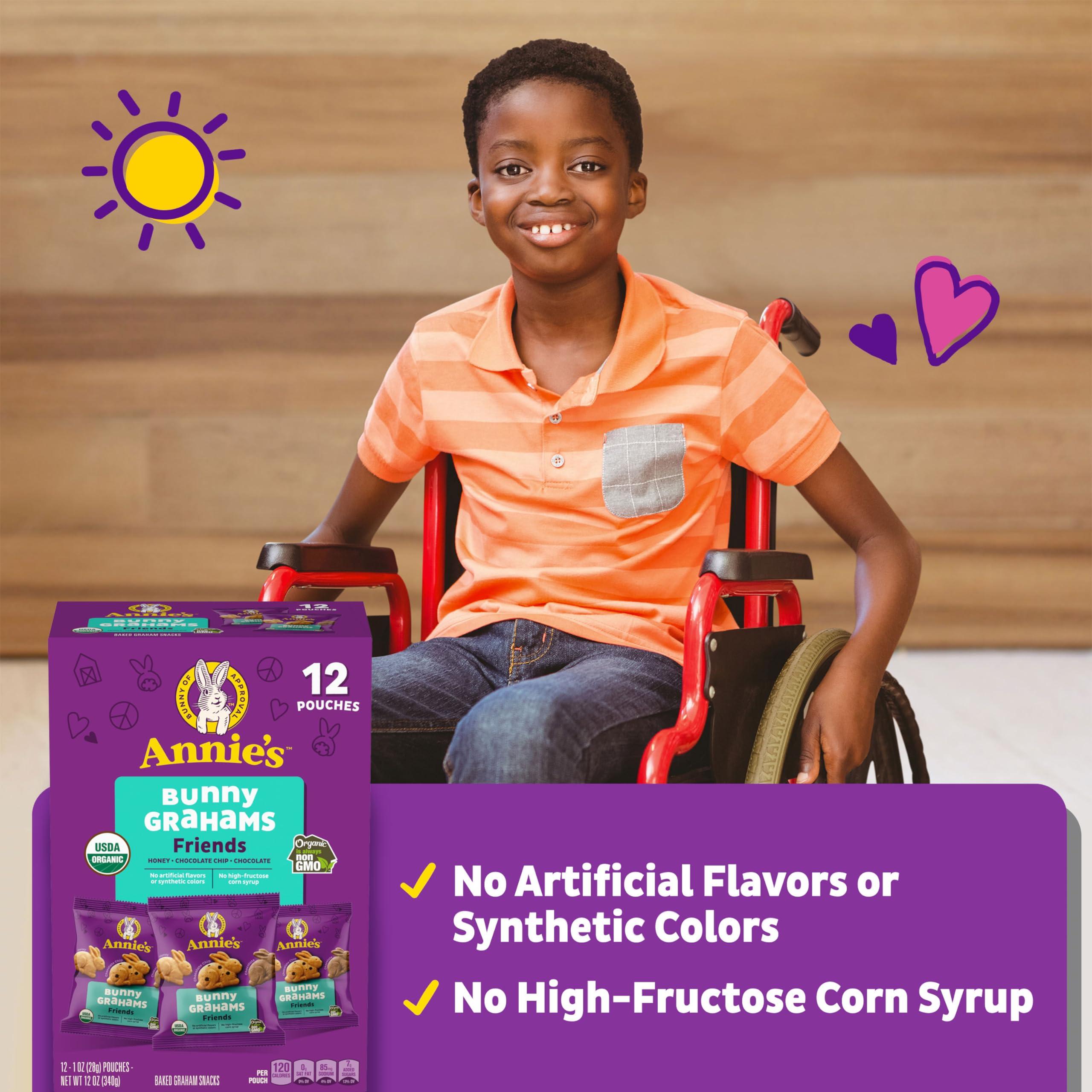 TropiFruit Tropifruit - Organic Fruit Mix Flavor Dehydrated Snacks with Quinoa and Chia Seeds Box x 10 Units