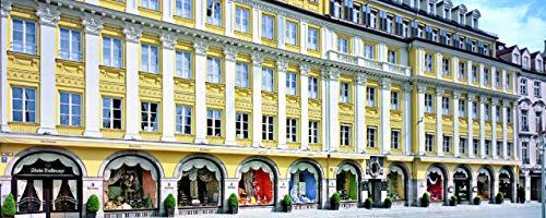 Alois Dallmayr Premium German Green Tea With Mango-Lemon Aroma | Sun Salutation | 25 Tea Bags | 50 g | Dallmayr | Germany