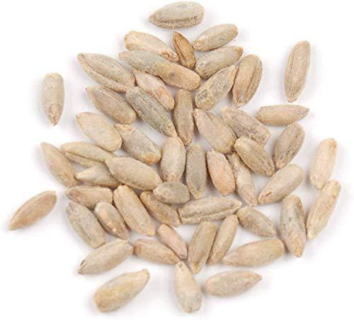 CZ Grain Rye Berries | 22 Pounds | High in Fiber and Iron - 22 Pound Bag of Rye Berries - Made in USA