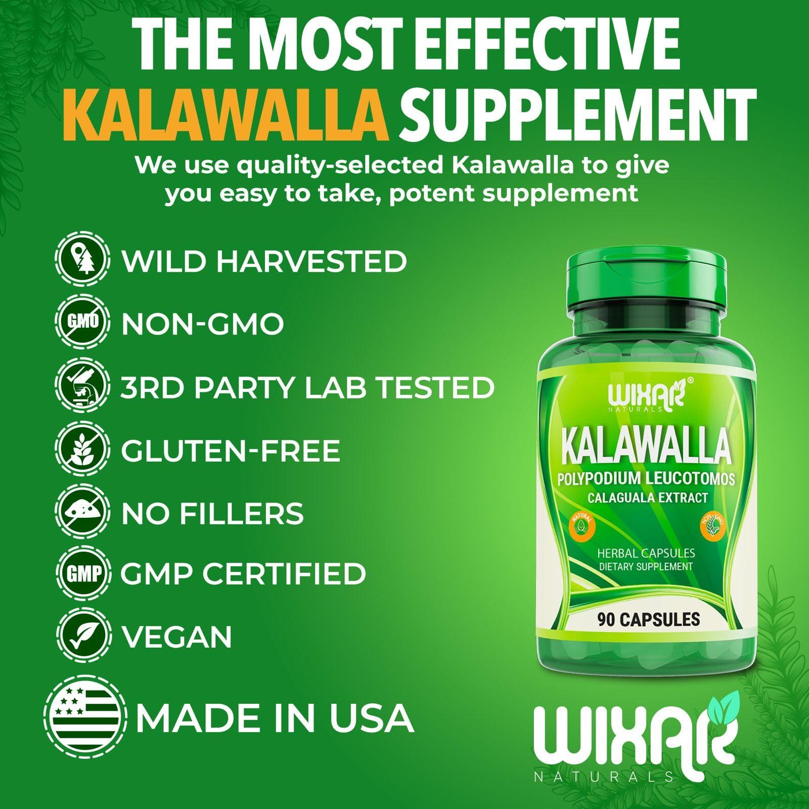 WIXAR NATURALS Wixar Kalawalla Capsules Kalawalla Root & Fern Leaves Calaguala Extract Herb with Polypodium Leucotomos Pills - Vegetarian Immune, Skin, Alkaline Support Supplements for Men & Women 90 Capsules