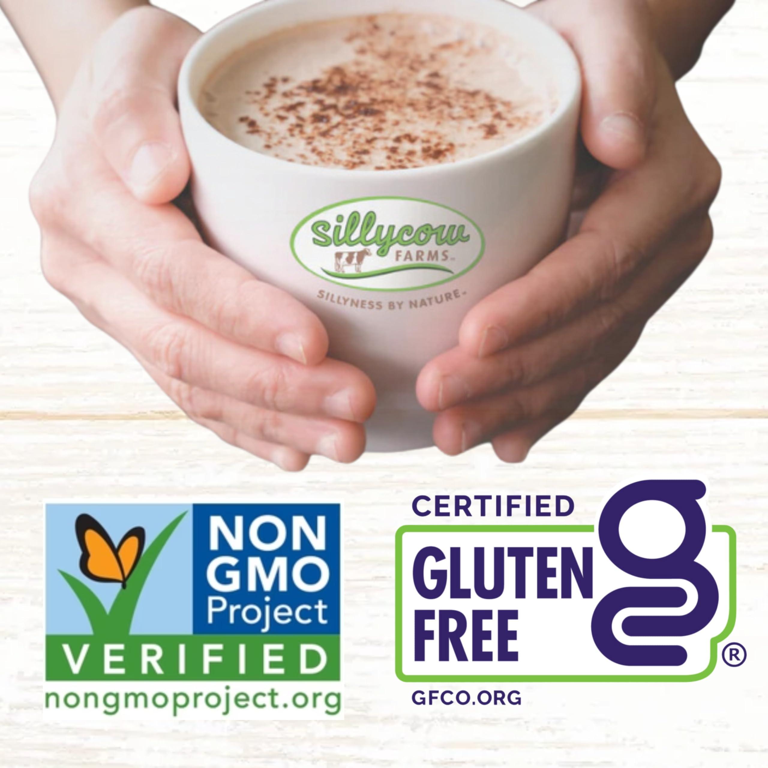 Silly Cow Farms Sillycow Farms Hot Chocolate Sea Salt & Caramel Mix | Rich Hot Cocoa Delight | Gluten-Free, Non-GMO, Dairy-Free | Indulgence with Pure Sweet Caramel Flavor | 16.9 Oz Reusable Glass Bottle - Pack of 2