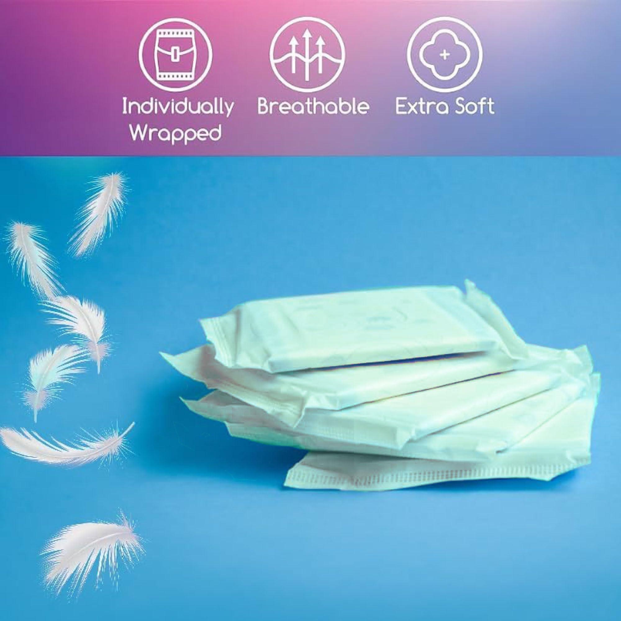 Trail maker 100 Pack Bulk Panty Liners for Homeless, Hospitals | Long Panty Liners for Postpartum, Incontinence, Menstruation Bulk Individually Wrapped Liners for Women