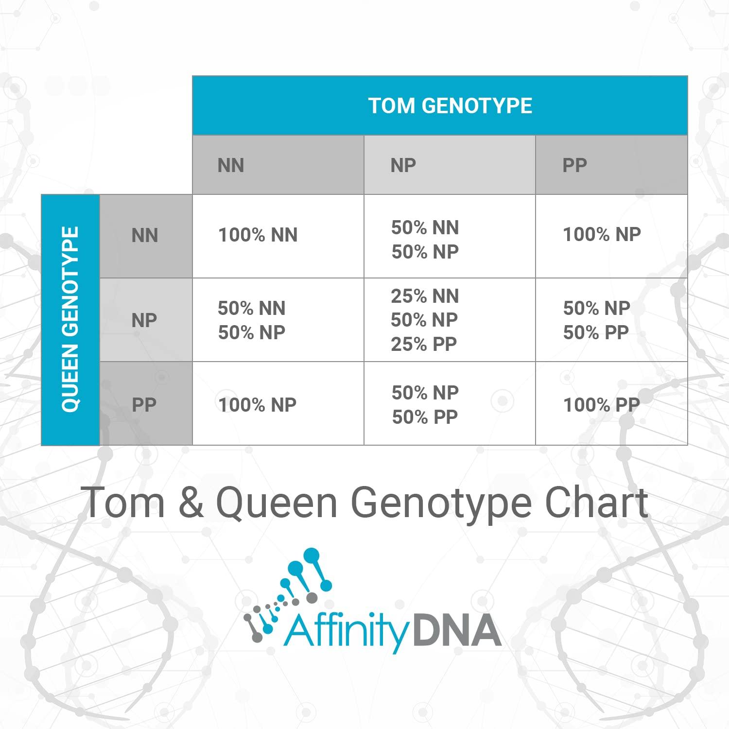 AffinityDNA AffinityDNA PKD DNA Test for Cats | Home Sample Collection Kit for 1 Feline | Polycystic Kidney Disease Testing | | Just Swab & Send a DNA Sample | Get Your Report in Just 12 Working Days