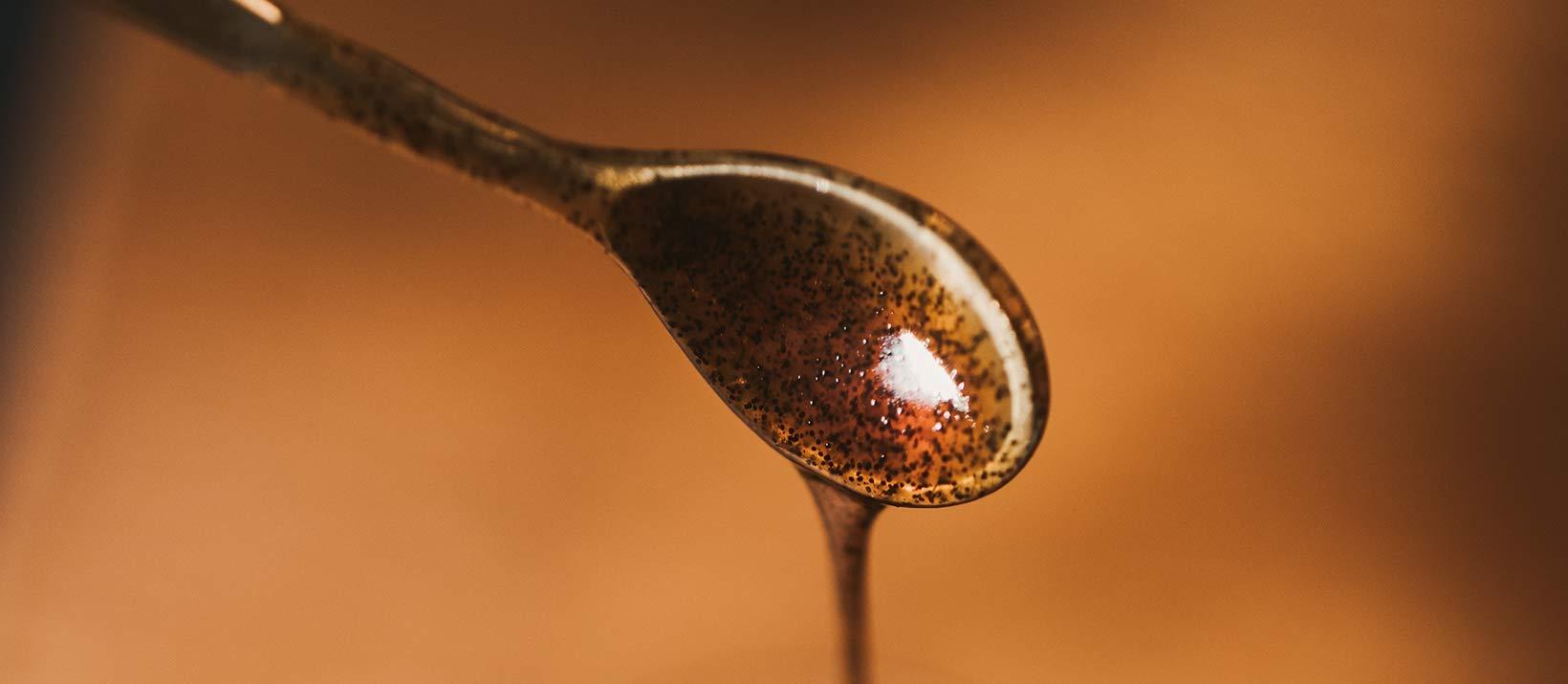 Vanilla Bean Kings Vanilla Bean Paste for Baking and Cooking - Gourmet Madagascar Bourbon Blend made with Real Vanilla Seeds - 8 Ounces