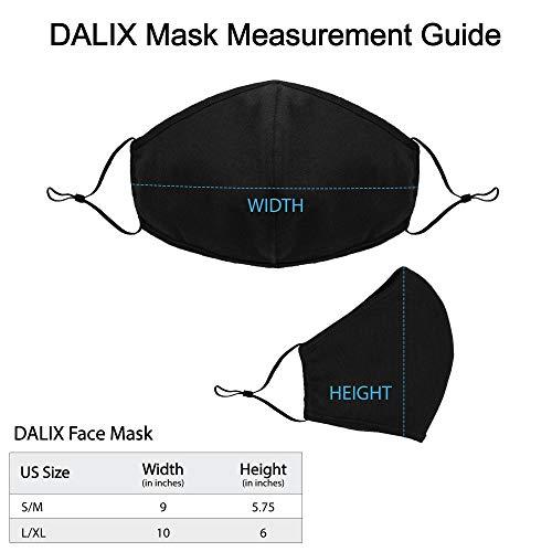 DALIX DALIX Cloth Face Mask Reusable Washable Made in USA - Variety L-XL (3 Pack)