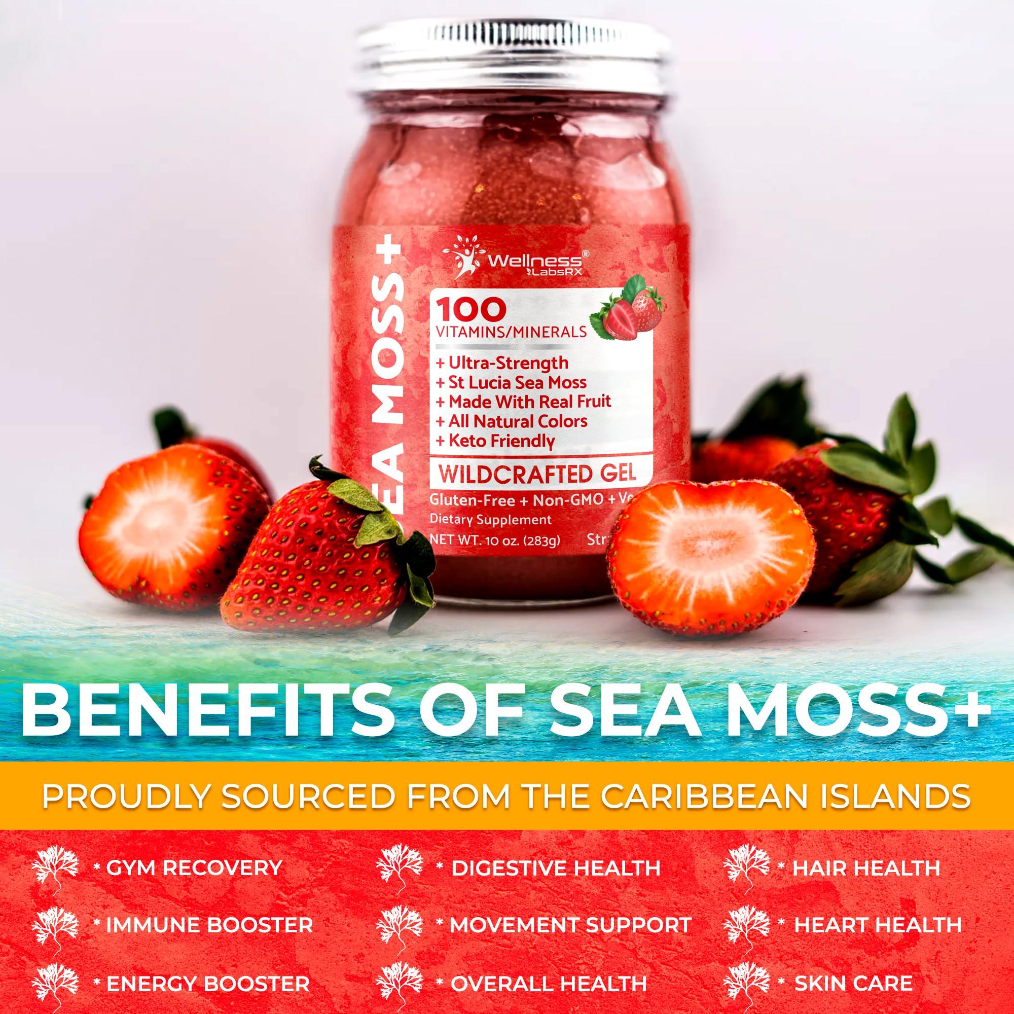WELLNESS LABSRX Irish Sea Moss Gel Organic Raw - Wildcrafted Superfood Seamoss Gel - Strawberry Flavor, Vitamin and Mineral-Rich from Pristine Caribbean Waters, Immune and Digestive Health Support - 10 oz.