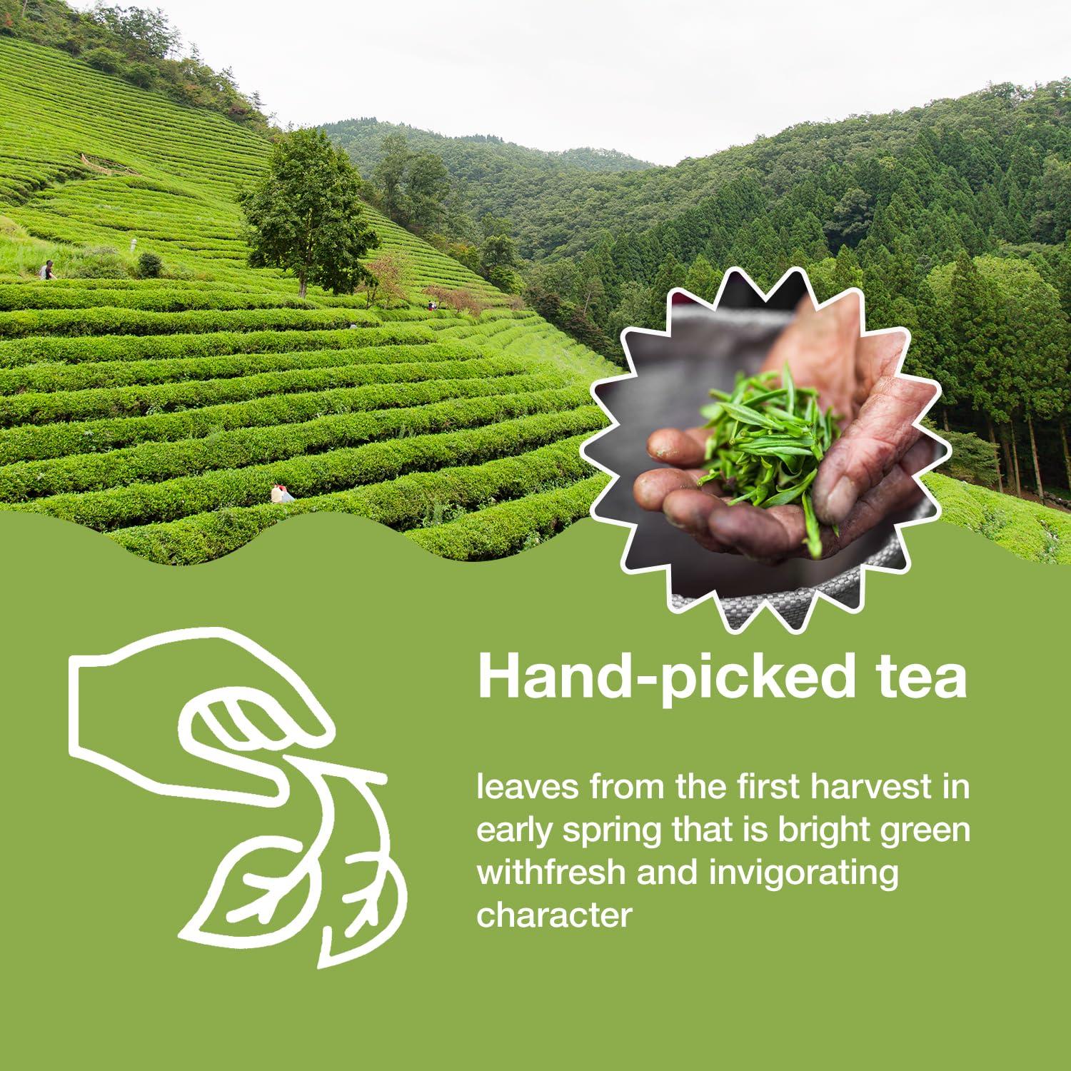 Lifebooil Matcha Powder,Premium Ceremonial Grade Matcha Powder,100% First Harvest Unsweetened Matcha Green Tea Powder,(40g/1.4oz)Tin