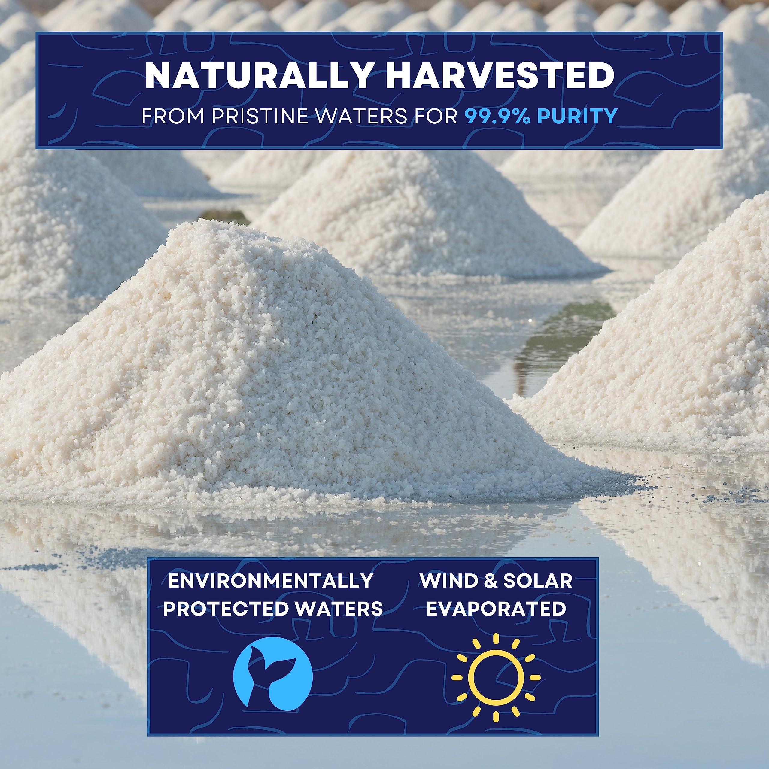 Sea Salt Superstore Kosher Sea Salt, Fine Grain Kosher Salt, Fine Salt Replacement for Table Salt, Non-Iodized & Natural Fine Sea Salt for Table Shakers, 30 oz Bag, Sea Salt Superstore