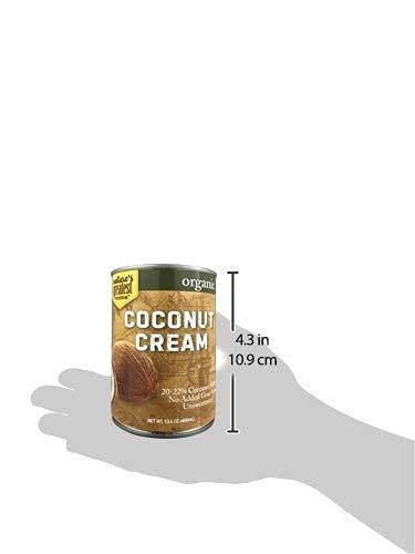 Nature\'s Greatest Foods Organic Coconut Cream by Natures Greatest Foods - 13.5 Oz - No Guar Gum, No Preservatives Gluten Free, Vegan and Kosher - 20-22% Coconut Milk Fat, Unsweetened (Pack of 12)