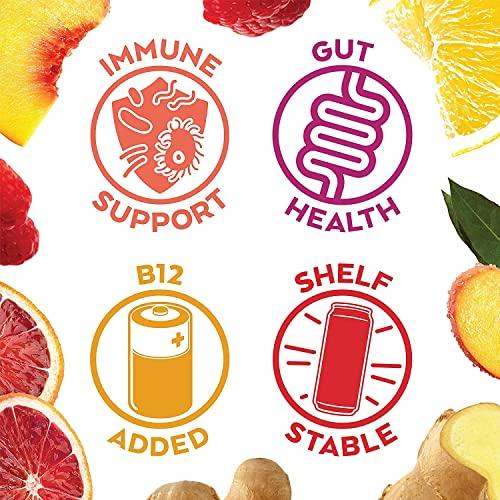 Humm Humm Probiotic Kombucha Zero Sugar Variety Pack - No Refrigeration Needed, Keto Friendly, Organic, Vegan, Gluten Free - 12oz Cans (16 Pack)