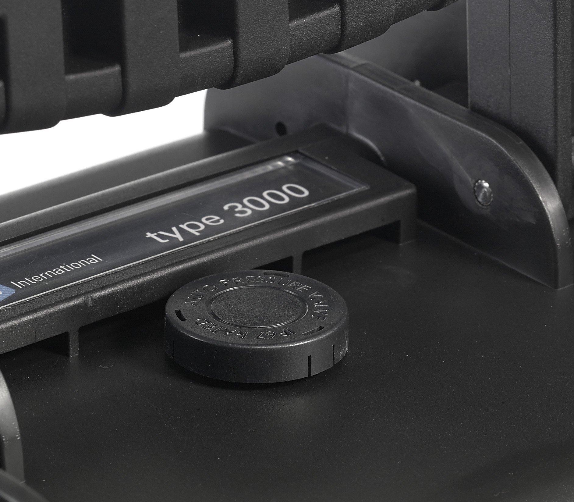 B&W International GmbH B&W Outdoor Case Hard Case Type 6600 Empty (Hard Case IP67, No Contents, Waterproof, Inner Dimensions 50 x 28.5 x 18.5 cm, Black)