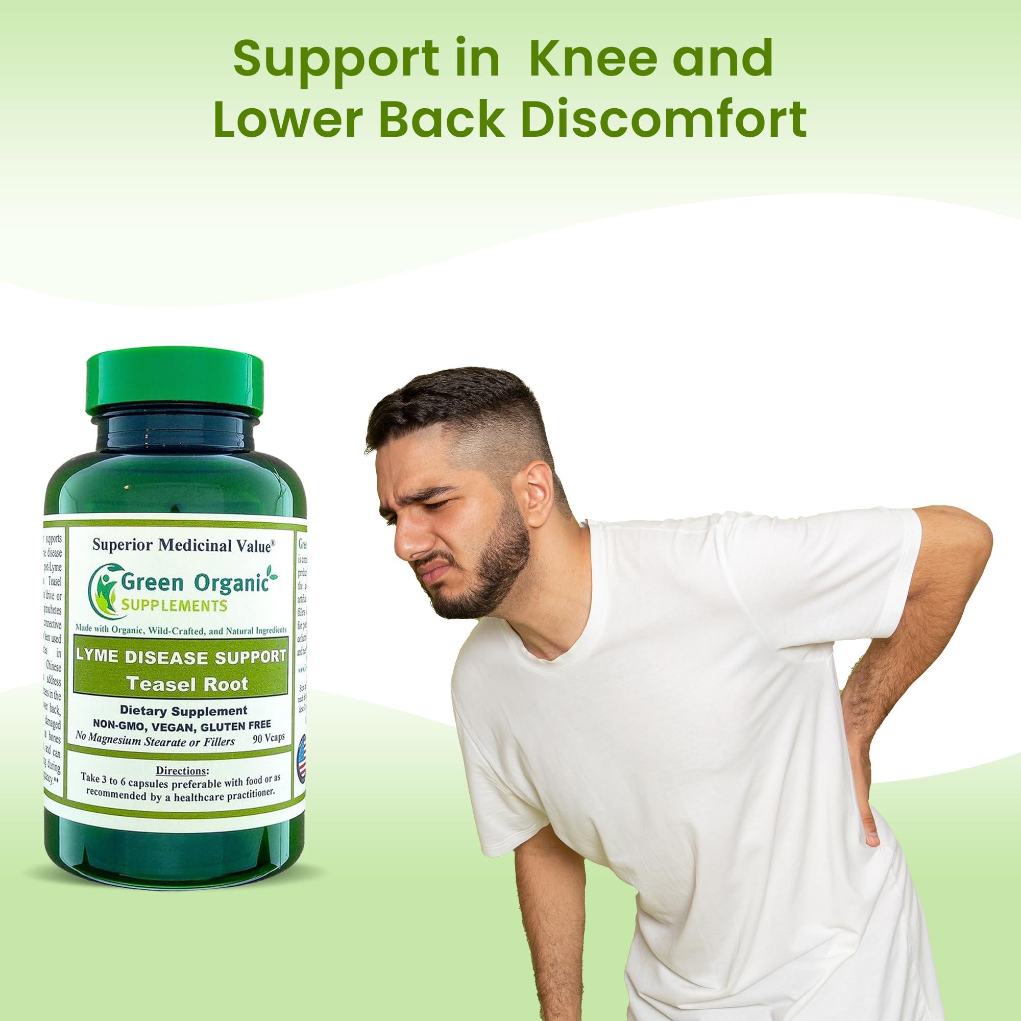 Green Organic Supplements Green Organic Supplements\' Lyme Disease, Teasel Root (Pack of 4)