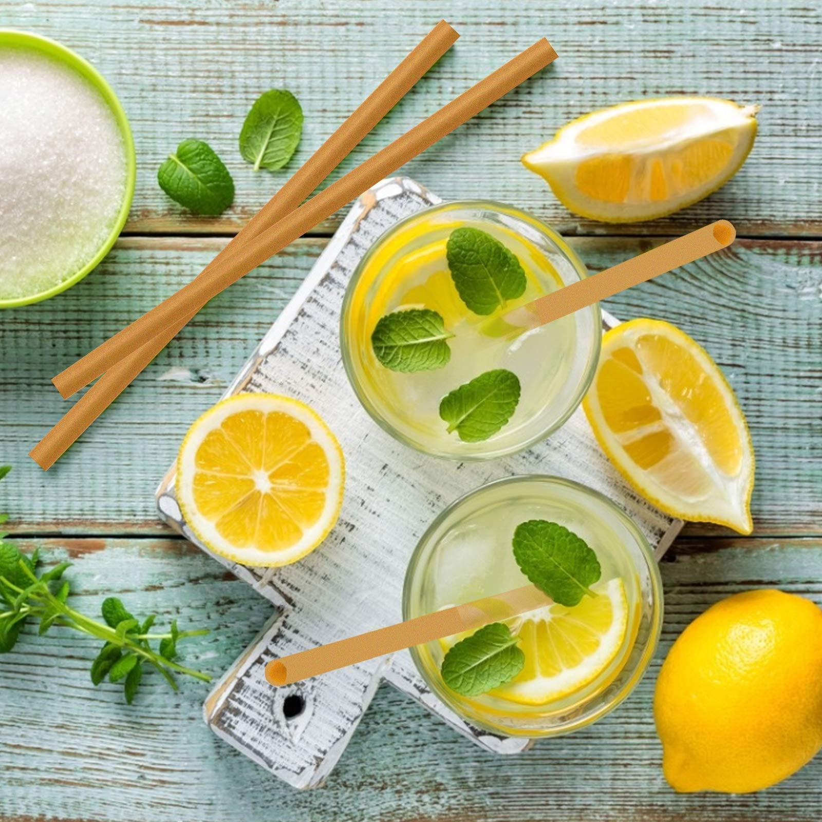 SHAUMN Biodegradable Sugarcane Straws 10.2 Inch Long Compostable Drinking Straws Bulk Plasticless A Sturdy Straws Works for Hot/Cold Drinks Not Soggy Alternative to Platic/Paper Ones