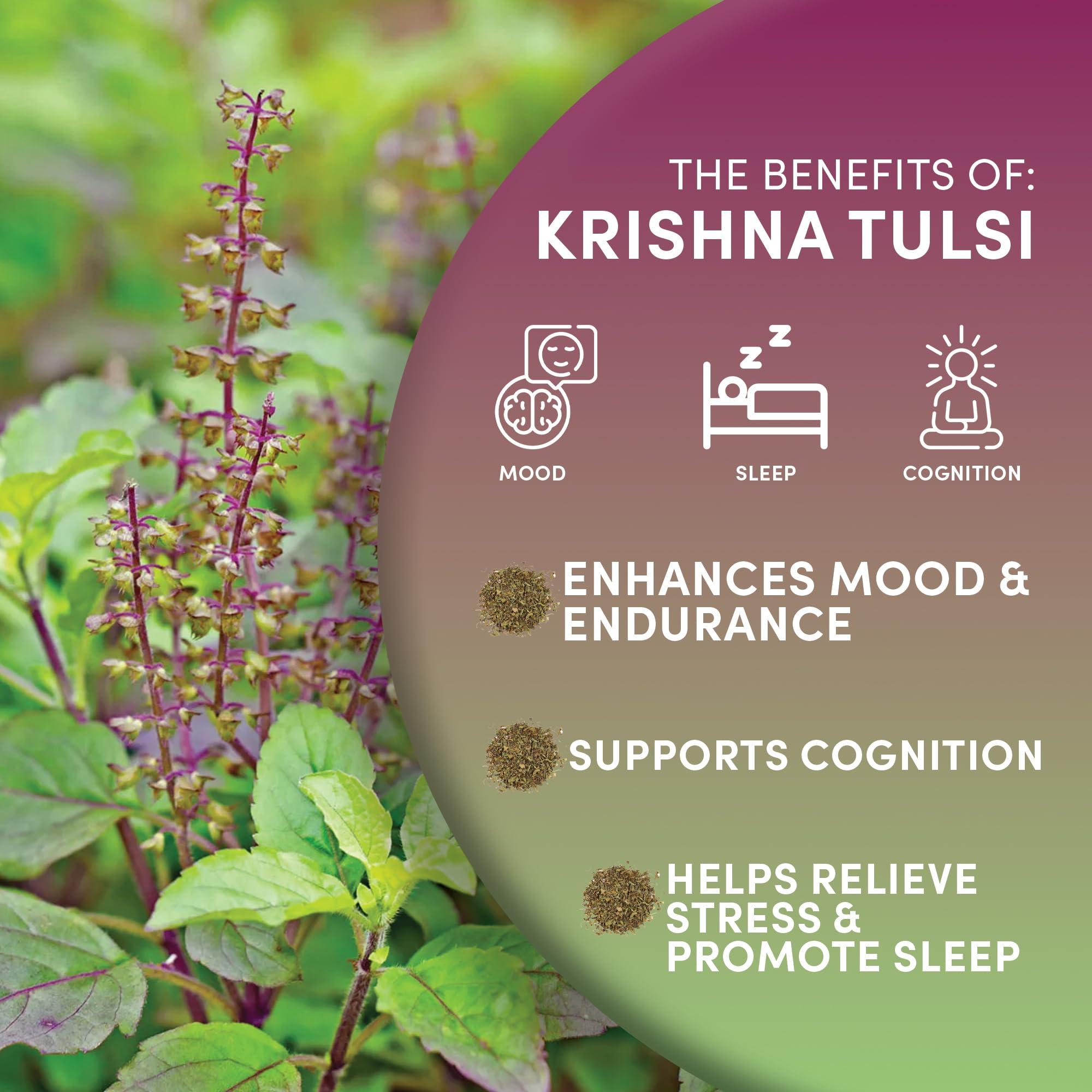 Worldwide Botanicals Worldwide Botanicals Organic Holy Basil Tea, 8oz - Tulsi Krishna - Loose Leaf Premium Herbal Tea, 100% Pure Tulsi Holy Basil, Fair Trade, Adaptogenic, Kosher