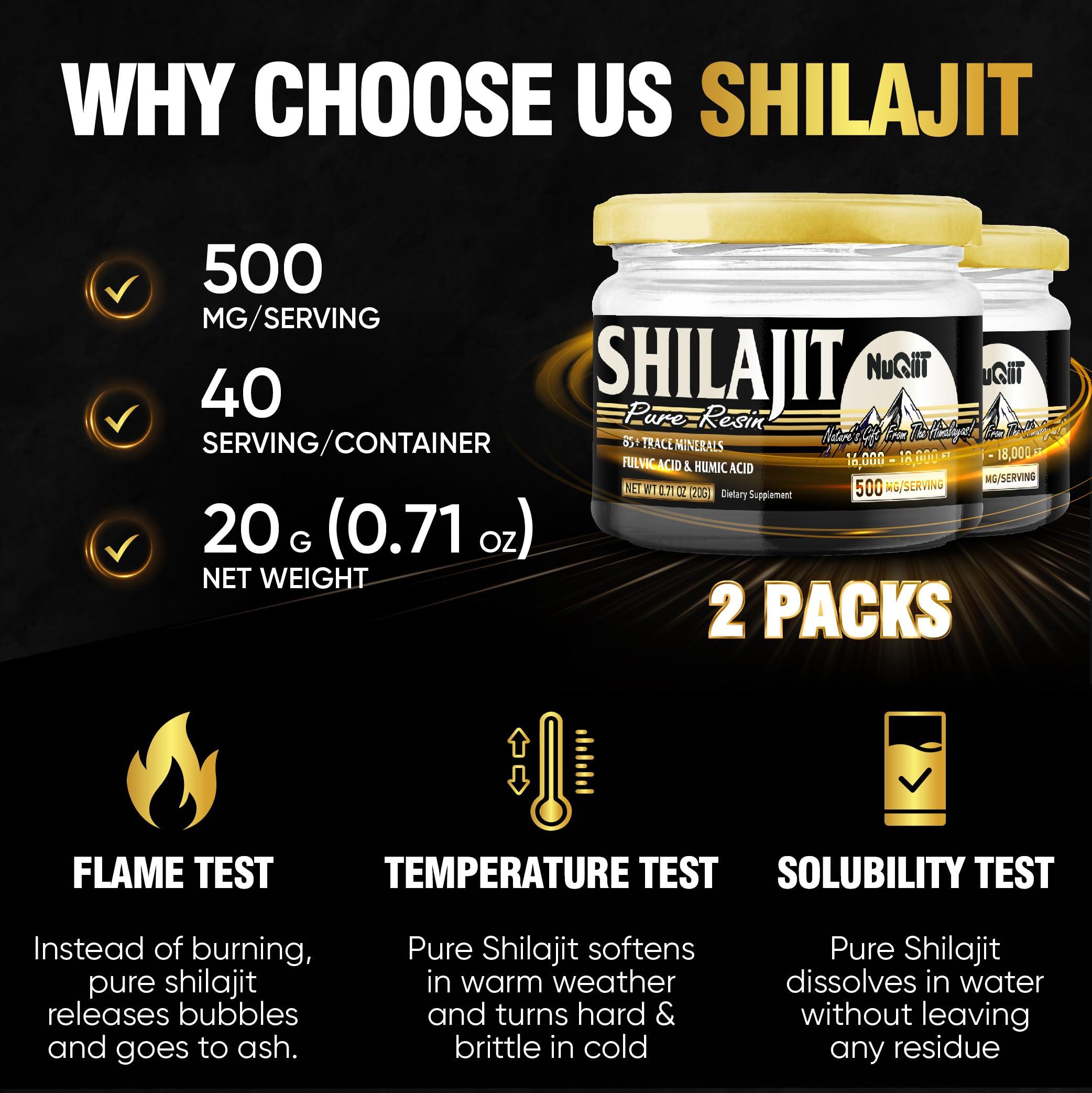 NUQIIT 2 Packs 20g Shilajit Supplement for 80-Serving Supply - Support Immunity, Brain Health & More - 500mg Shilajit Pure Himalayan Organic with Natural Fulvic Acid, Humic Acid & 85+ Trace Minerals
