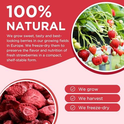 SUMMMER Freeze Dried Fruit Mix - 12 Dried Fruit Snacks Individual Packs Strawberry, Raspberry, Pineapple, Mango, Banana, Blueberry, Apple - No Added Sugar, 100% Natural Freeze Dried Snacks