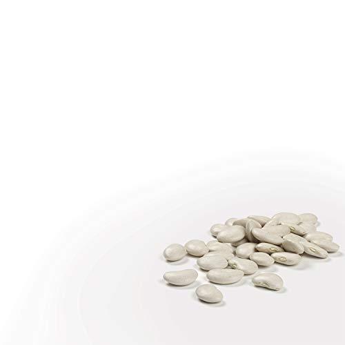 Camellia Brand Camellia Brand Dried Cannellini Beans, 1 Pound (Pack of 2)