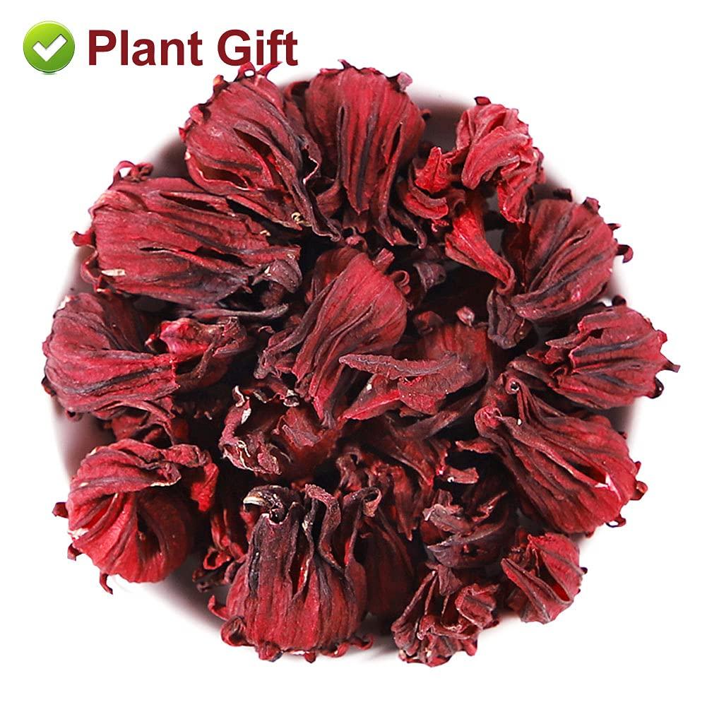 Plant Gift Plant Gift Roselle Hibiscus, Hibiscus Tea, Hibiscus Flowers Roselle Tea, 100% Natural Roselle Whole Flowers - Non-GMO - Caffeine-free - 50G/1.76oz