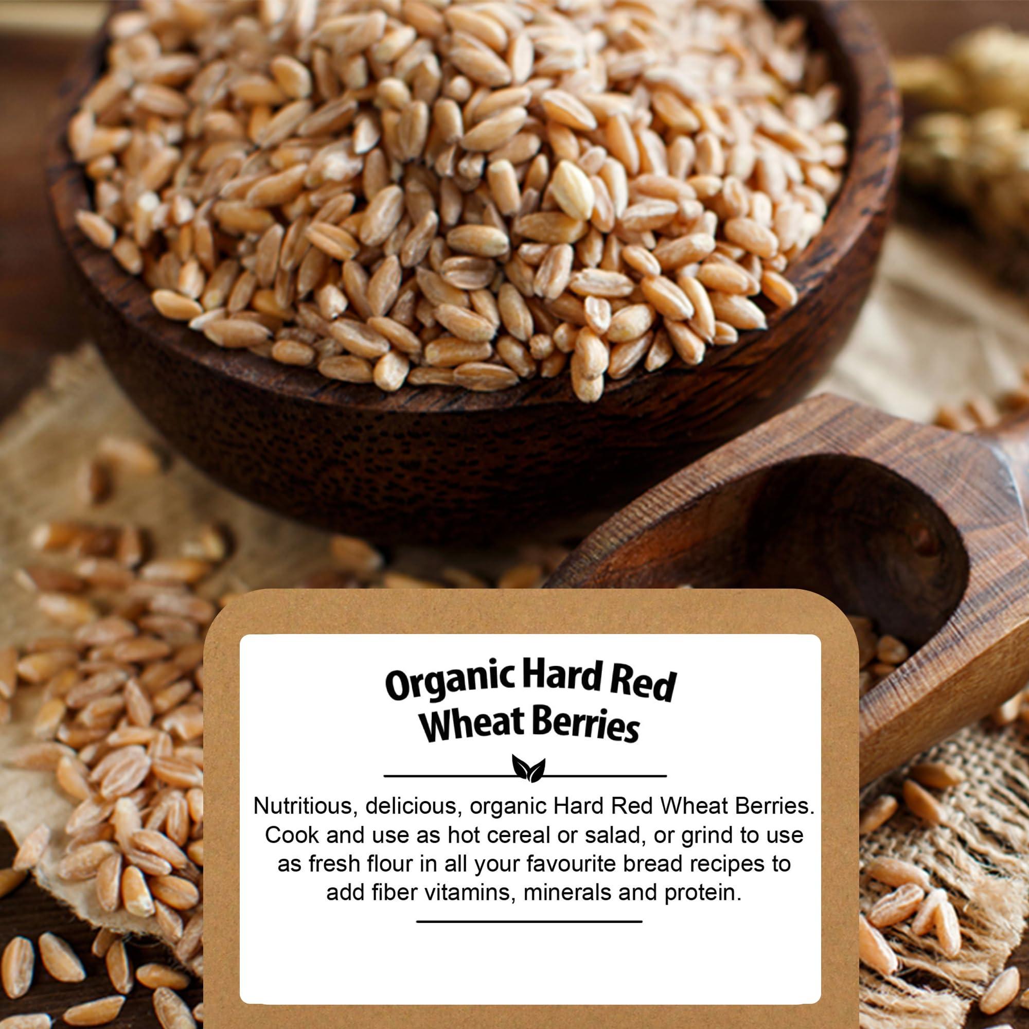 Be Still Farms Be Still Farms Organic Hard Red Wheat Berries (4.8lb) - Healthy Diet Whole Grains Bulk - Ideal for Soups, Salads, Flour, Bread - High in Fiber & Protein | USA Grown | USDA Certified | Vegan | Non-GMO