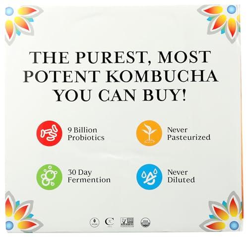 GTs Living Foods GTS LIVING FOODS Organic Synergy Kombucha Variety 6 Pack, 16 FZ