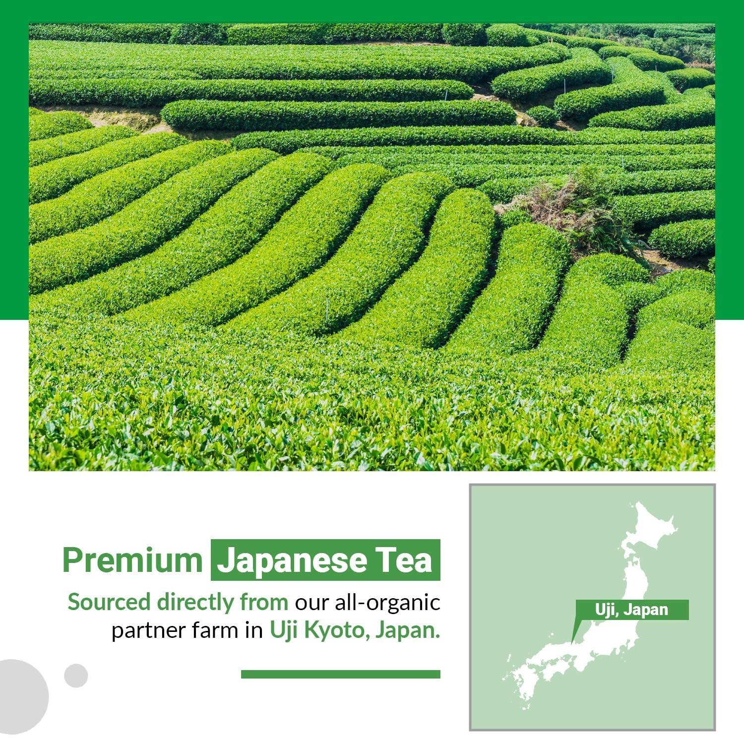 Matcha Moon Matcha Moon Daily Zen Organic Matcha Green Tea Powder - All-Purpose Cafe Grade, Bursting with Antioxidants & L-Theanine - From Uji, Kyoto Japan - 100g Value Tin