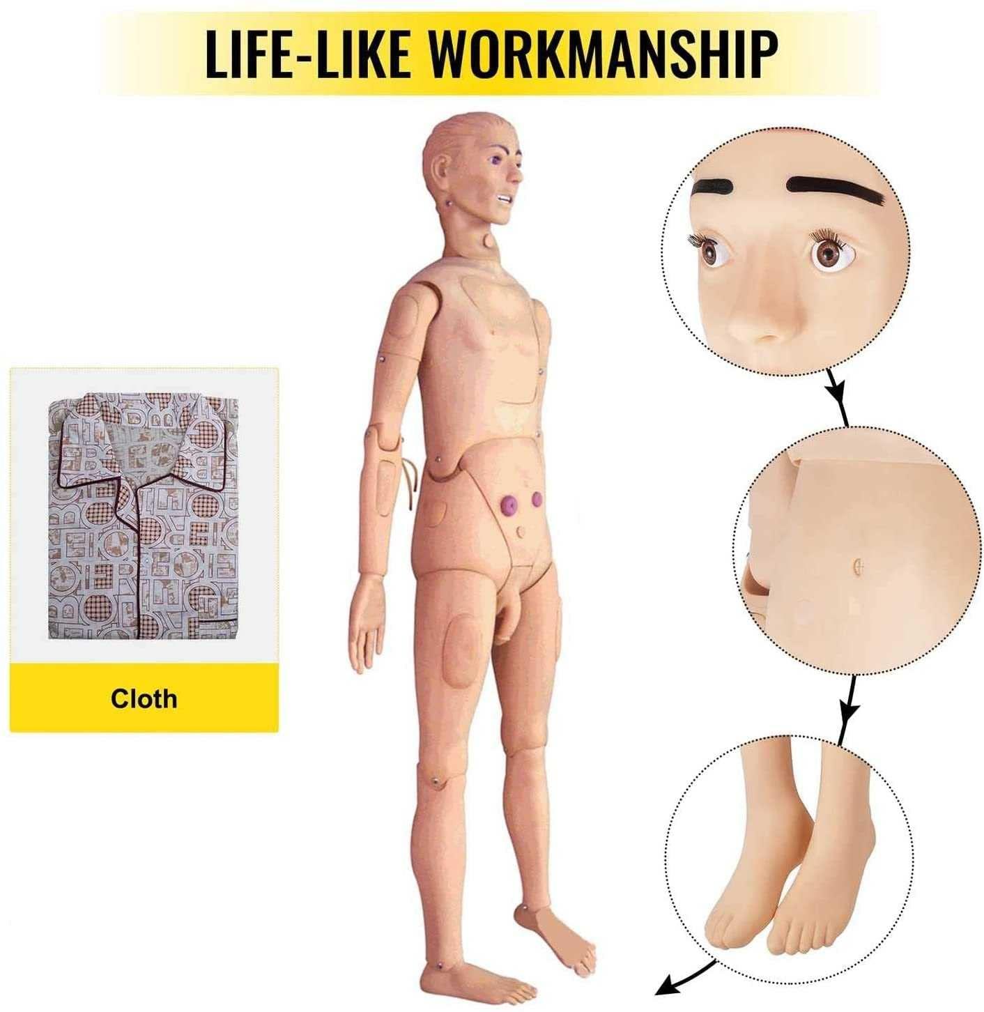 HIMFL Demonstration Human Manikin,Male and Female Nursing Manikin Life Size Patient Care Manikin for The Cure of The Patient Didactic Material in