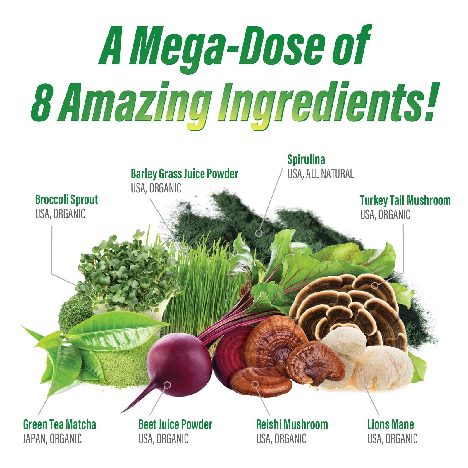 Myogenix Myogenix MyoVite Super Greens Supplement Powder - Super Greens Powder for Men and Women, Daily Vitamin Supplement for Optimum Nutrition, Grown in USA - Organic Supplements, 30 Servings