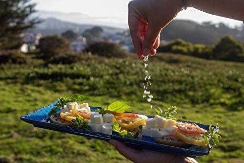 Celtic Sea Salt Celtic Sea Salt Flake Salt 5.3 Oz (150 G), Natural, Handcrafted, Gourmet, Salt Flakes, Salty, 5.3 Oz (Pack of 1)