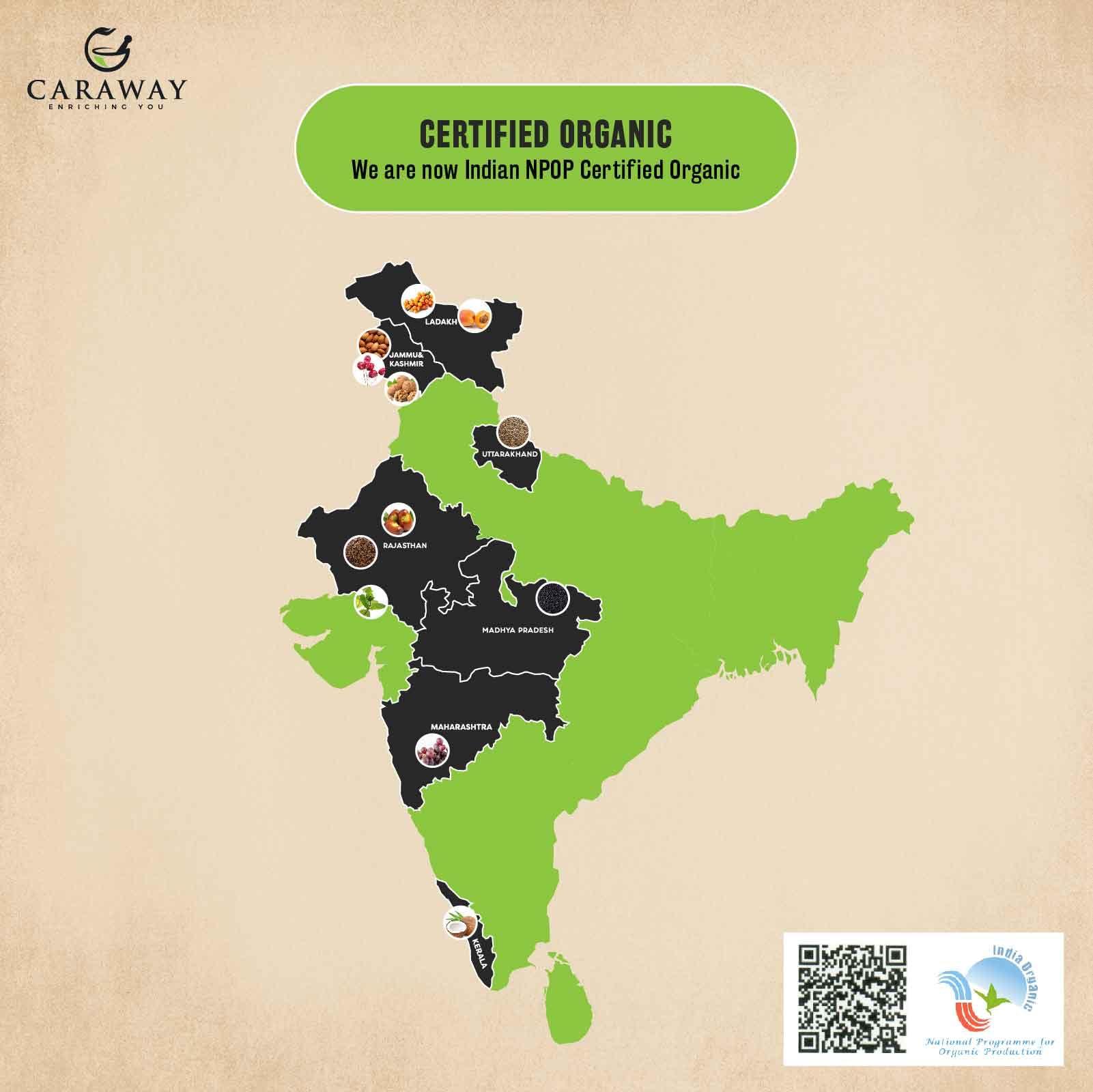 CARAWAY CARAWAY Cold Pressed Black Cumin Seed Oil - Rich in Thymoquinone for Immunity Boost, Hair Care - Glass Bottle - 4 oz / 118 ml