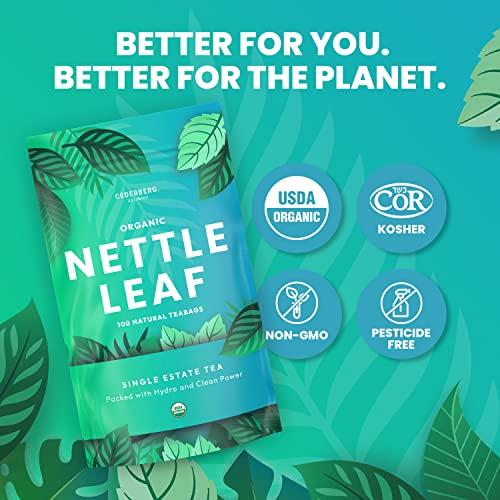 Cederberg Tea Company Organic Nettle Leaf Tea — 100 Tea Bags | Organic Herbal Tea From Single Origin | Eco-Friendly Tea Bags | Non-GMO Caffeine Free Tea With Zero Sugar | Cederberg Tea Company