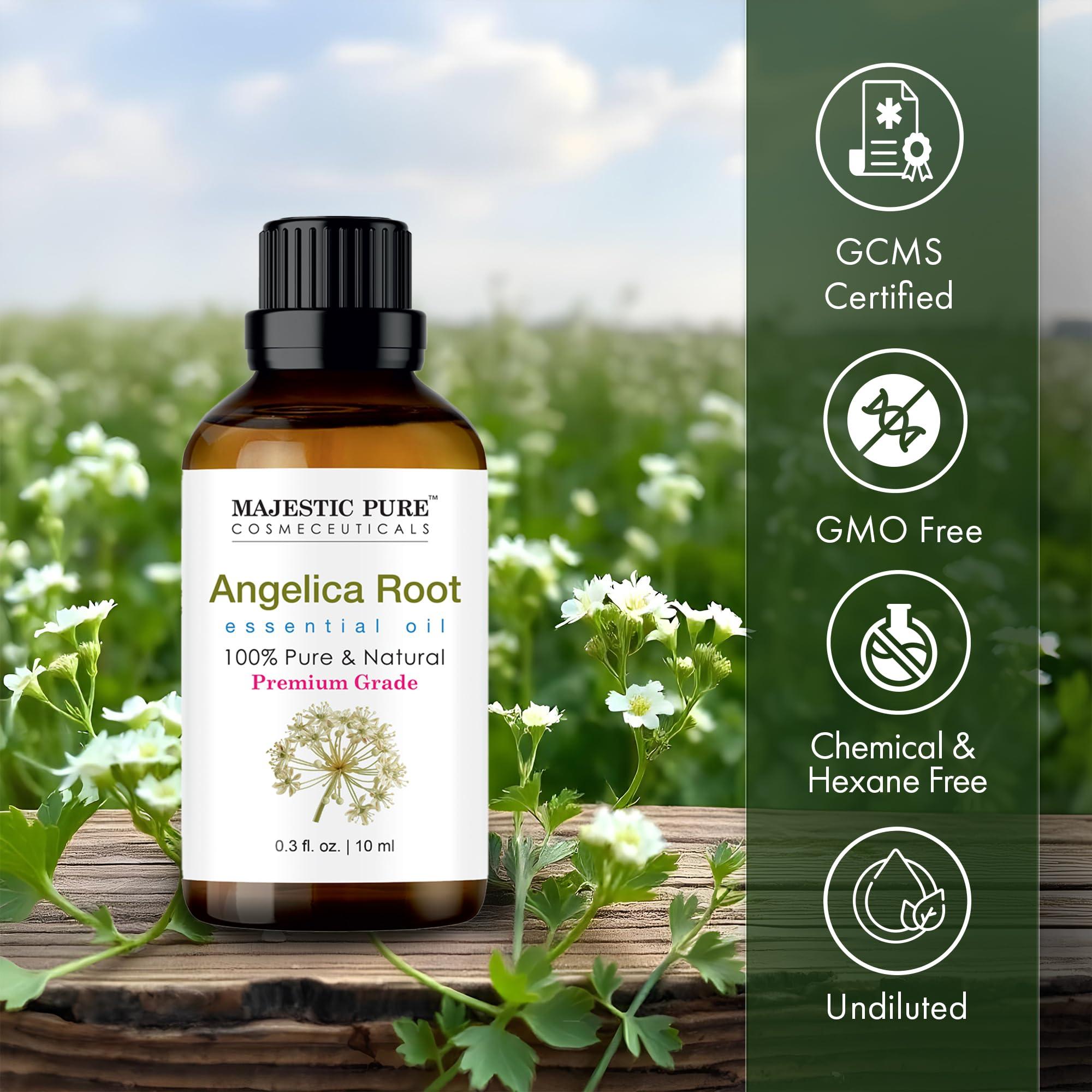 MAJESTIC PURE MAJESTIC PURE Angelica Root Essential Oil | 100% Pure and Natural Oil | Premium Grade Essential Oils for Hair Care, Home Diffusers, Skin, Aromatherapy, Massage and Humidifiers | 0.3 Fl Oz