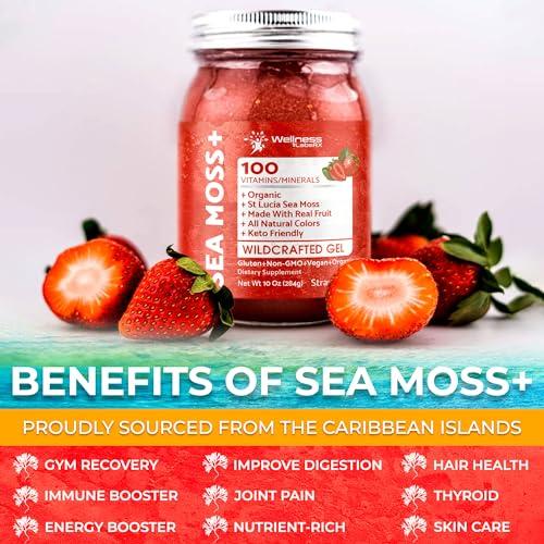 WELLNESS LABSRX Irish Sea Moss Gel Organic Raw - Wildcrafted Superfood Seamoss Gel - Strawberry Flavor, Vitamin and Mineral-Rich from Pristine Caribbean Waters, Immune and Digestive Health Support - 10 oz.