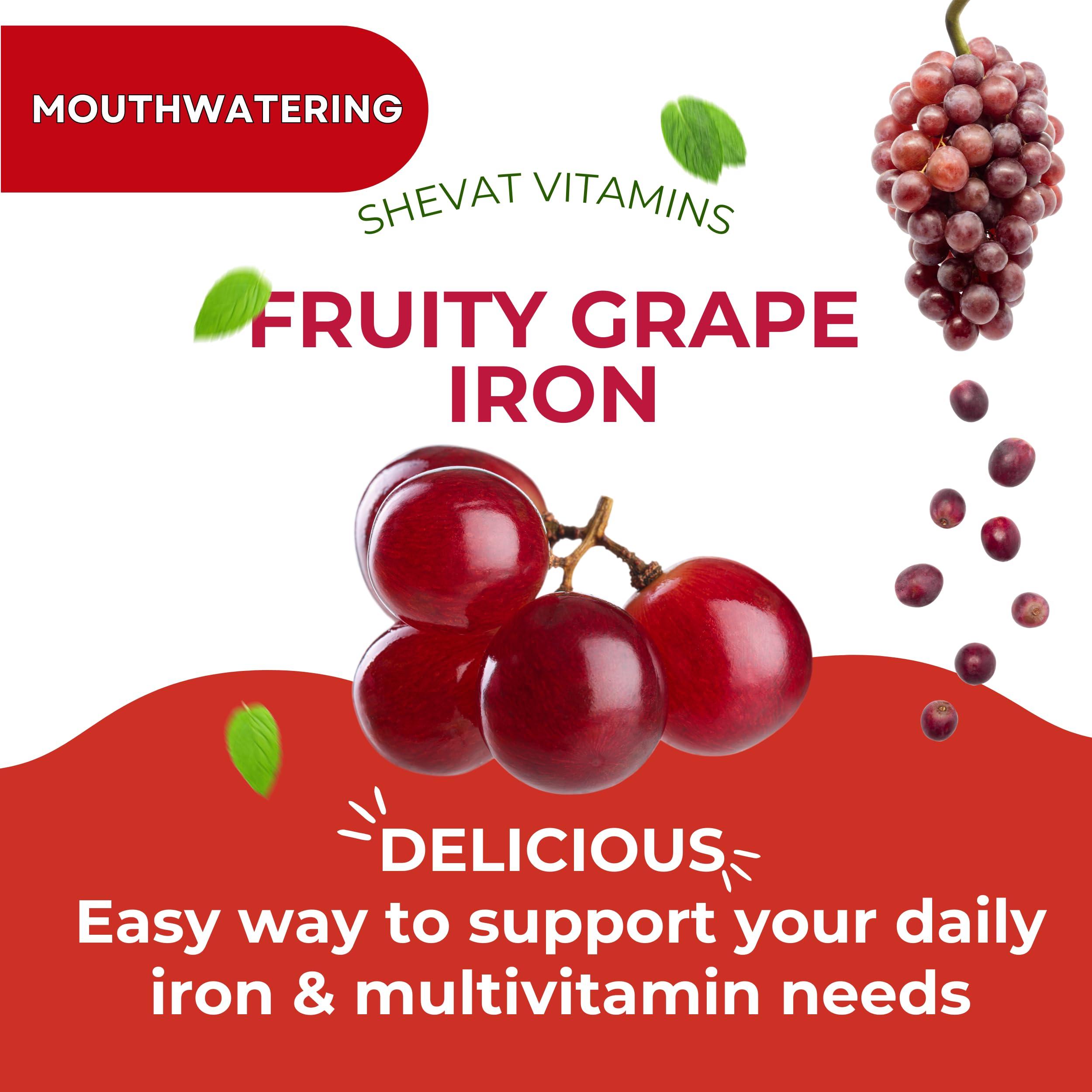 SHEVAT VITAMINS Family Iron Gummies for Women, Men & Kids Chewable Iron Supplements for Women Anemia & Men  Kids Iron Gummies with Iron Vitamins for Women  Vegan,Gluten-Free(Grape Flavor) Immune Support  USA Made