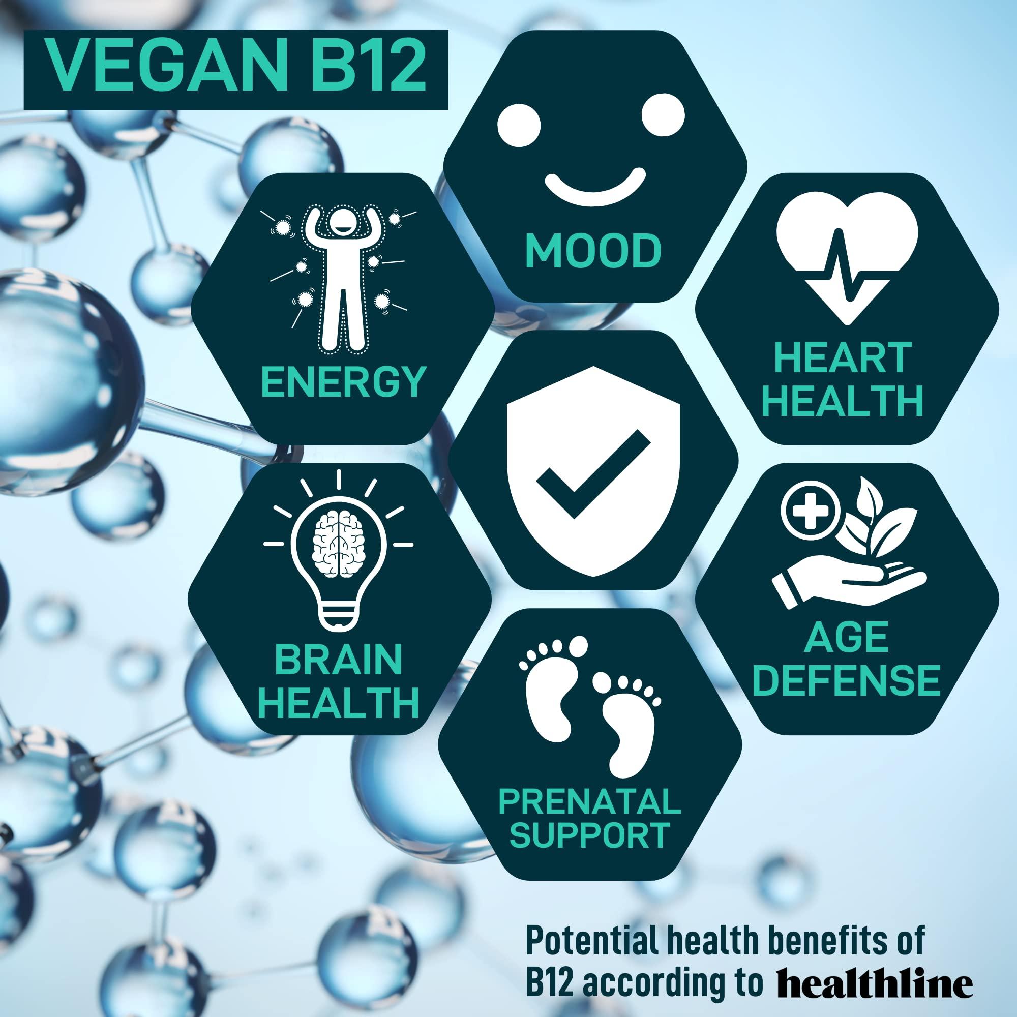 WILD FUEL Digestive Enzymes with Probiotics and Prebiotics and Vegan Probiotic Plus B12 Enhanced Digestive and Gut Health Bundle