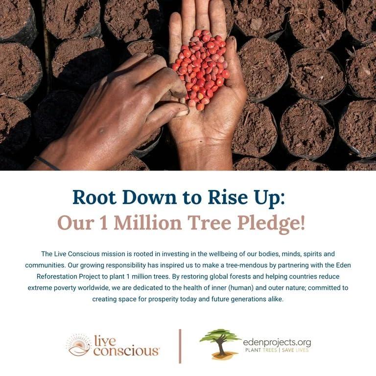 Convergence Convergence Eye Vitamins AREDS 2 with Vitamin E, Lutein, and Astaxanthin - OptiWell Eye Health Supplement and Blue Light Blocker - 30 Softgels