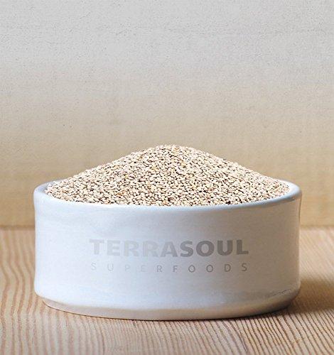 Terrasoul Superfoods Terrasoul Superfoods Organic White Chia Seeds, 2 Lbs (2 Pack) - Omega Fats | Fiber | Plant Protein