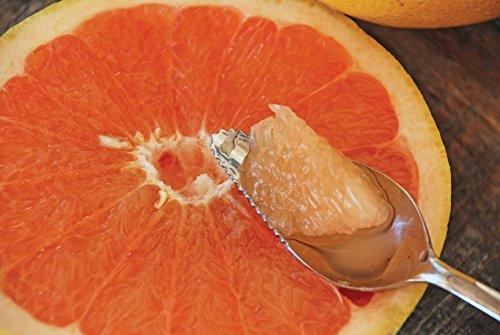 SweeterSorts Fresh Florida Red Grapefruit, 8 pieces