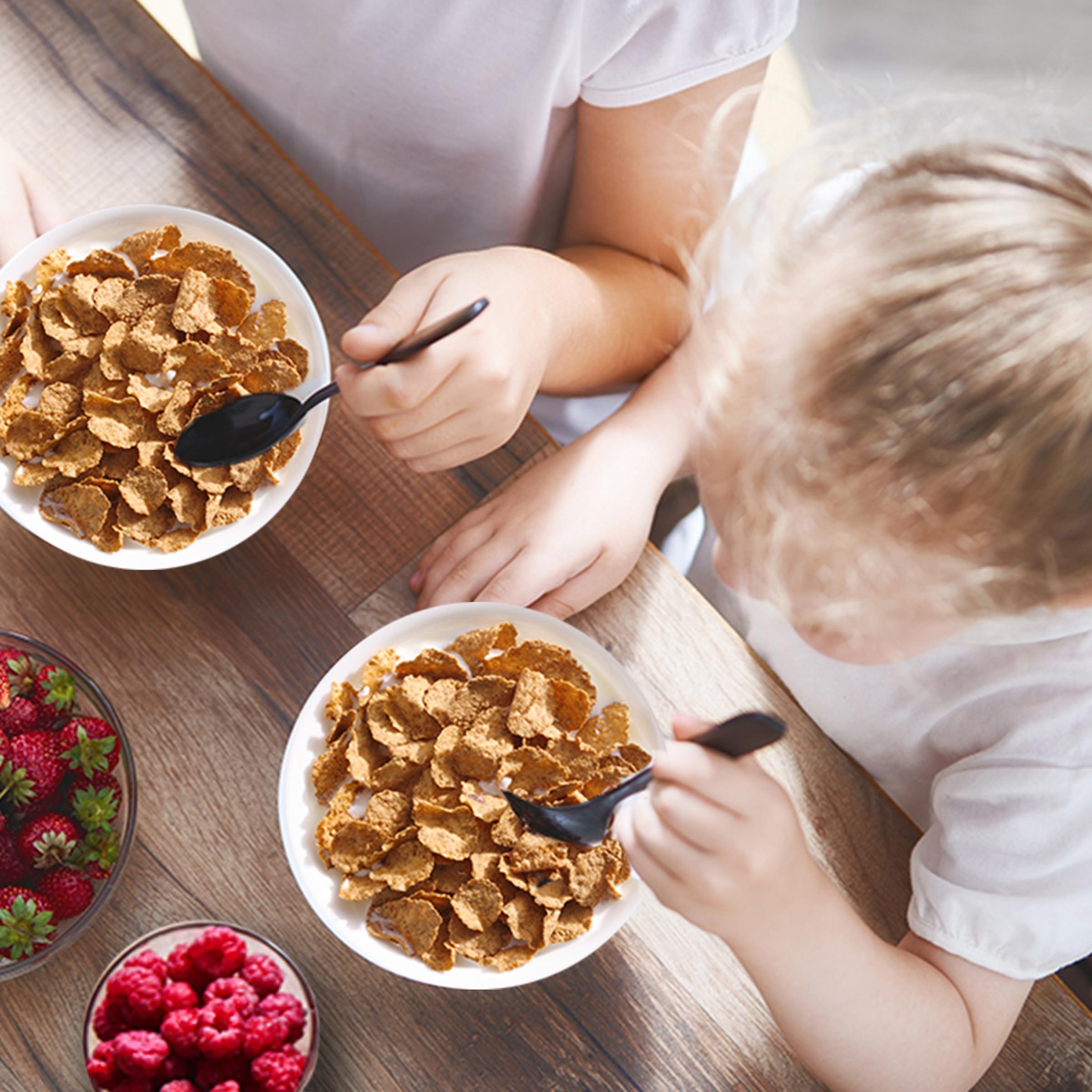 Total Total Breakfast Cereal, 100% Daily Value of 11 Vitamins & Minerals, Whole Grain Cereal, 16 oz